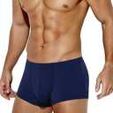 Arjen Kroos Men's Sexy Silky Trunks Underwear Boxer Briefs 1 Pack XL