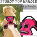 BARKBAY No Pull Dog Harness Front Clip Heavy Duty Reflective Easy Control Handle for Large Dog Walking(Pink,L)