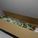 GTIDEA 6ft Artificial Tree Ficus, Tall Faux Trees Indoor with Natural Trunk and Fake Silk Tree Fake Plants for Home Spring Decor Living Room Outdoor Balcony House Office (Included Dried Moss)