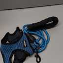 Dog Harness Step-in Breathable Puppy Cat Dog Vest Harnesses forDogs Blue