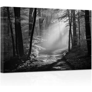 ZXHYWYM Black and White Forest Wall Art Forest Sunshine Tree Painting Nature Landscape Canvas Prints Artwork for Living Room Office Bedroom Framed(2, (12.00" x 18.00"))