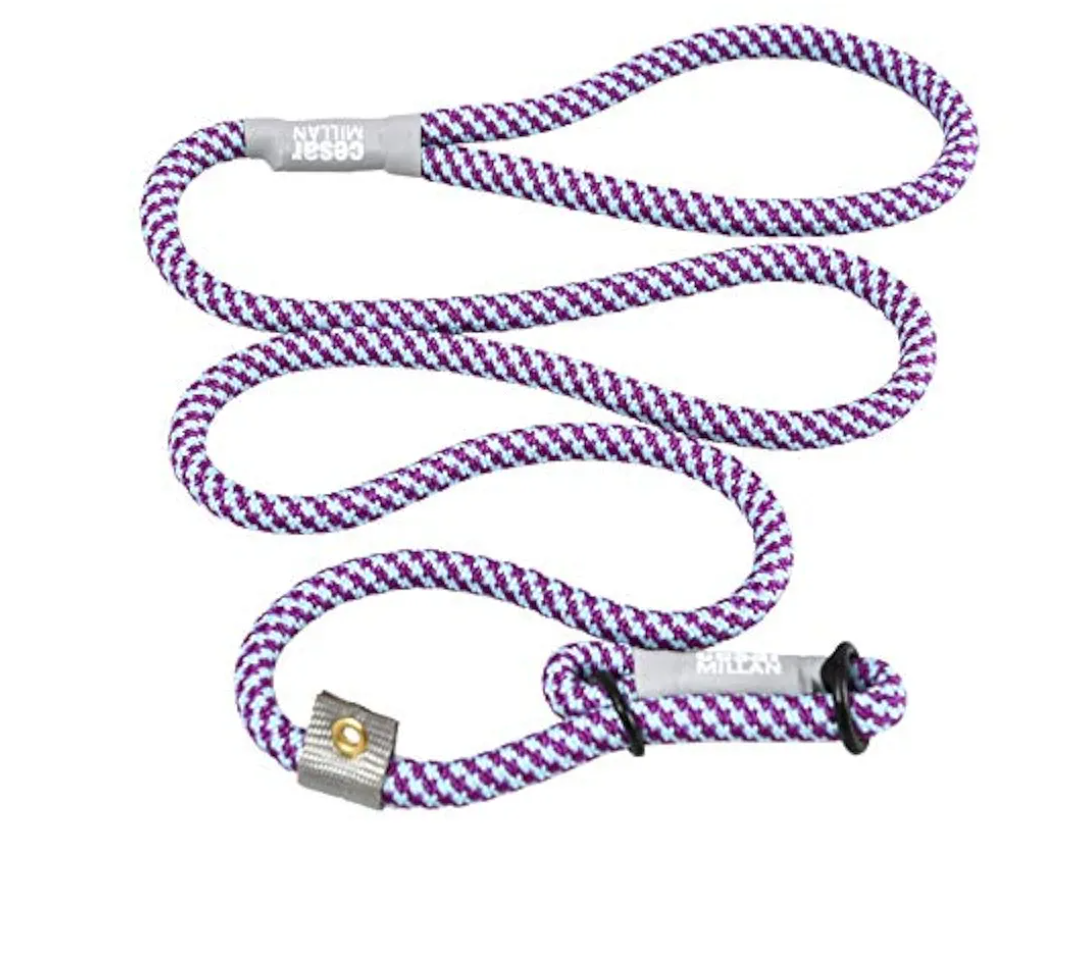 Cesar Millan Slip Lead Leash™ - 2-in-1 Slip Collar Dog Training Lead & Collar | Heavy Duty Durable Weatherproof Rope Leash, No Pull Training | Length 4ft Diameter 4/10”(Regular, Aqua/Purple)