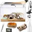 Reptile PC Terrarium,Anti Breakage 19.5x9.4x10.5 in Amphibians Tank Starter Kits,Top Sliding Door Gecko Starter Screen Ventilation Mini Habitat Cages,Hygrometer Thermometer,Hide Cave,Tweezer,Sprayer