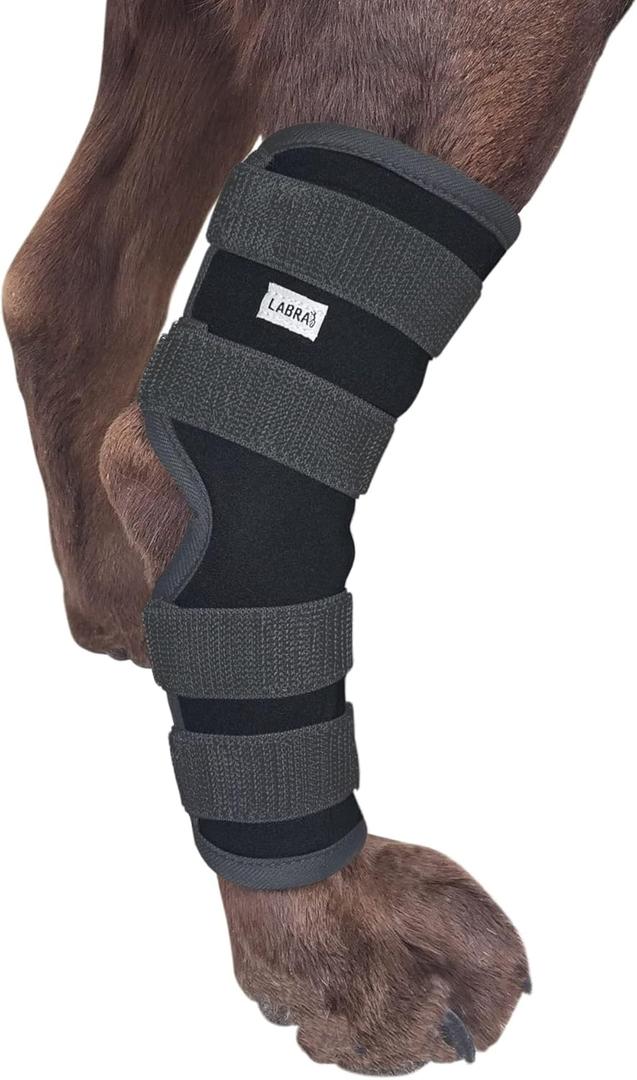 Labra Dog Extra Supportive Canine Rear (Hind) Leg Hock Joint Compression Wrap for Recovery, Protection, and Sprain and Injury Prevention, Ankle Brace (Large)