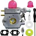 Ruixing OEM 753-06190 Carburetor for Craftsman WS2200 WC2200 WS210 WC210 Bolens BL110 BL160 Troy Bilt TB22 TB22EC TB32EC TB80EC 25cc 27cc MTD Trimmer weed eater Murray M2500 M2510 b2000 Leaf Blower