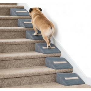 Foam Dog Ramp for Stairs, Low-Impact Climbing Dog Stairs for Senior Dogs
5.1"H, 6 Pack, 40D High-Density Foam Won't Collapse, Protects Joints, Anti-Slip & Self-Sticky Pads, Washable Cover, Grey