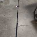 Shimano Taipan Spinning Rod 8' 2-5KG
