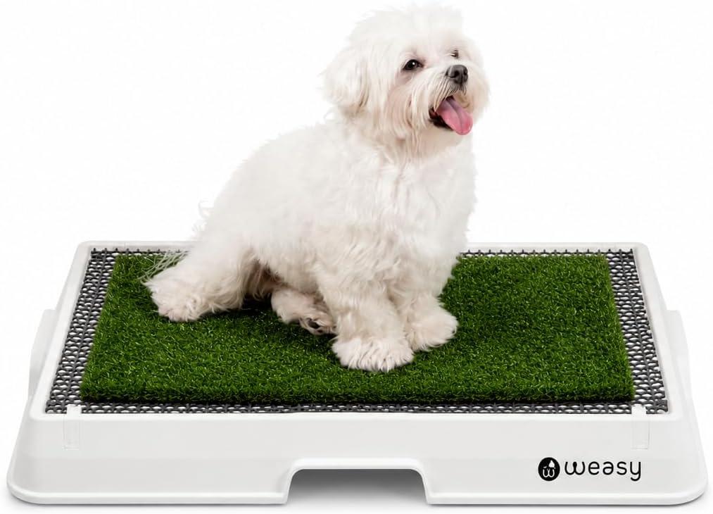 Weasy Indoor Dog Potty Tray with Drain Hose | Reusable Dog Toilet | Potty Training System | Compatible with Weasy Bag