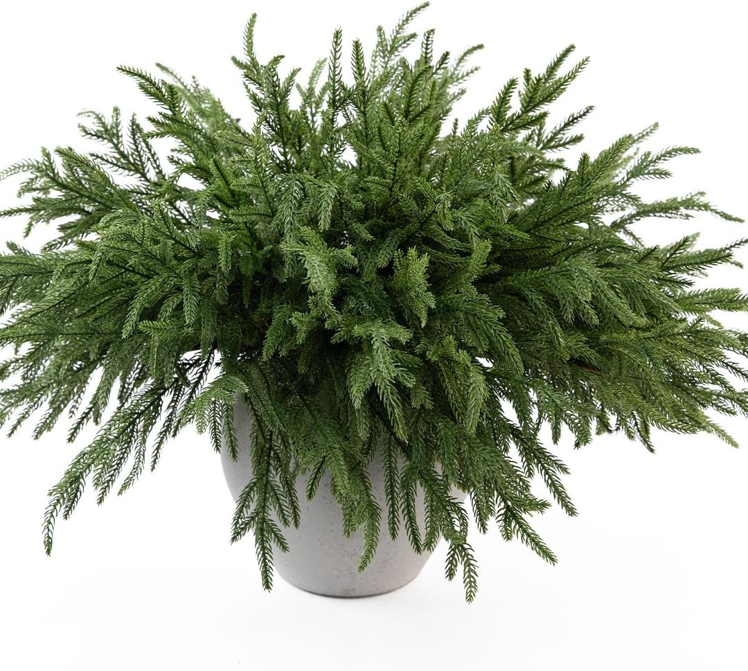 MISSPIN 12 Pcs 19.5 Inches Christmas Norfolk Pine Branches, Norfolk Pine Artificial Christmas Branches DIY Crafts Faux Pine Branches for Xmas Indoor Outdoor Home Decor