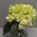 Hollyone Hydrangea Artificial Flowers with Glass Vase Green Silk Faux Flowers Arrangements in Vase with Faux Water Fake Floral Bulk Bouquet for Home Decor Table Centerpiece Decorations