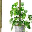 DUSPRO 80" Large Stackable Moss Pole for Plants Monstera, (1pc., 80'')