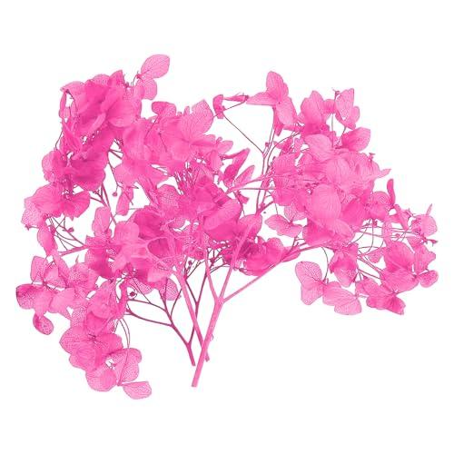 PATIKIL Dried Hydrangea Flower, 10g Natural Pressed Flowers Real Hydrangeas Petals for DIY Resin Crafts Card Floral Gift Candle Making Decor, Rose Pink