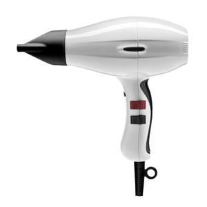 Elchim 3900 Healthy & Light Ionic Professional Dryers, Lightweight with 2 Concentrators Included, Multiple Color Options (White)