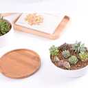 Lawei 3 Pack 6 inch Round Succulent Cactus Planter Pots with Drainage Bamboo Tray - Garden Ceramic Flower Planter Pot