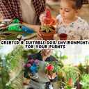 Plant Self Watering Globes Bulbs Planter Insert Automatic Plastic Watering Devices Plant Waterer Spikes for Indoor Outdoor,Self Irrigation System Lasts for One Week (7.7''3.4'', 6 Pack-4 colors)