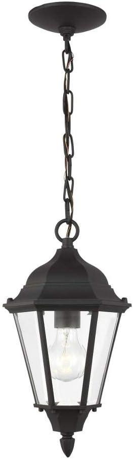 Generation Lighting 60938-12 1-Light Bakersville Traditional Outdoor Pendant Light Fixture Black 60938-12, Modern Ceiling Light Fixture for Home Dcor, Outdoor Light Fixture for Porch Dcor