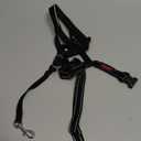 Halti Headcollar - Stop Your Dog Pulling on the Leash. Adjustable, Reflective and Lightweight, with Padded Nose Band. Dog Training Anti-Pull Collar for Large Dogs (Size 5, Black)