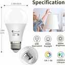 evelor 6 Pack LED Light Bulbs,60 Watt Equivalent Daylight 5000K,A19 | Dimmable,Efficient 9W,800 Lumens White E26 Base LED Bulbs,15000 Hours,Ideal for Bedroom Living Study Room