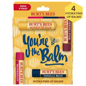 Burt's Bees You're the Balm Lip Balm Pack, Mothers Day Gifts, With Beeswax, Wild Cherry, Watermelon and Vanilla Bean Flavors, Tint-Free, Natural Origin Lip Treatment, 4 Tubes, 0.15 oz