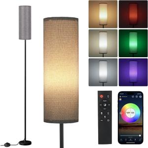 FRIDEKO HOME Gray Floor Lamps for Bedroom, Dimmable Colors Temperature & Brightness, Plug in Modern Floor Lamps for Living Room, Tall Standing Lamps for Office, Corner Lamp, 9W RGB LED Bulb