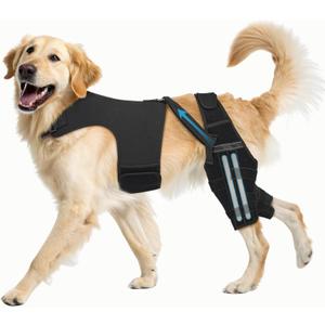 Dog Knee Brace for Torn ACL Hind Leg, Adjustable Dog Leg Braces for Back Leg with 4 Metal Stabilizers Strong Joint Support to Reduce Pain from Luxating Patella, Ligament Injury, Hip Dysplasia XL