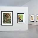 YESKAY 8.5x11 Picture Frame 3 Pack,Brown Wooden Frame with Tempered Glass,Display Pictures 6x8 with Mat or 8.5 x 11 Without Mat,8.5 by 11 Photo Frame for Wall or Tabletop