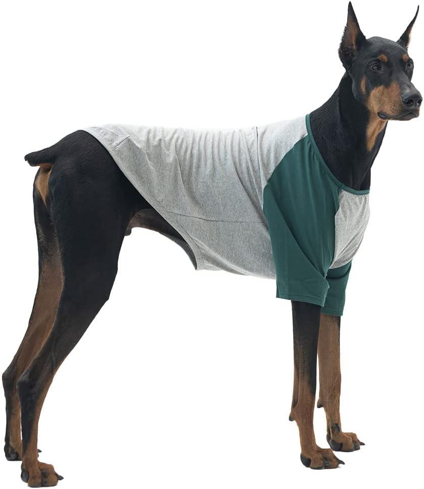 Dog Shirt for Small and Large Dogs Raglan Cotton T-Shirts Soft Breathable Dog Shirts pet Clothes Gray Series (5X-Large, Gray/Green)