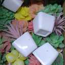 Tiita 24 Set Artificial Faux Succulents in Pots Fake Plants Plastic Arrangement Planter Small Mini Tiny Decoration for Home Office Desk Window Sill Bathroom Bedroom Outdoor Indoor