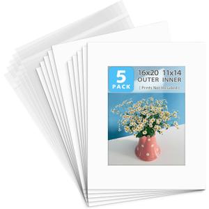 Golden State Art, Pack of 5 White Pre-Cut 16x20 Picture Mat for 11x14 Photo with White Core Bevel Cut Mattes Sets. Includes 5 High Premier Acid Free Mats & 5 Backing Board & 5 Clear Bags, 5 Kit