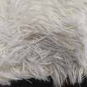 BENRON White Fluffy Rugs for Living Room 4x6, Soft Cream Area Rug for Kids Children Girls Bedroom Nursery, Washable Indoor Floor Carpets