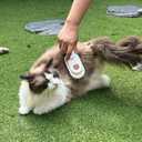 New 3-in-1 Cat Steam Brush With Enhanced Spray, Long Comb Steamy Brush for Shedding, Hair Remover, Cloud Care Water Comb for Long & Short Hair Indoor Cat and Dog (Purple)