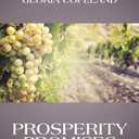 Prosperity Promises