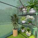 Greenhouse for Outdoors, Small Greenhouse, Walk-in Greenhouses with 3 Tiers 4 Shelves, PE Cover, Heavy Duty Plant Greenhouses for Garden and Backyard