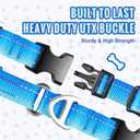 Arblina Martingale Collar for Dogs Large  Heavy Duty Buckle Dog Collar with Tag Ring Reflective Nylon Gradient Dog Collar No Pull Training Collar, L