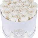 17 Flowers in a Luxury Suede Box, Birthday Gifts for Women, Preserved Flowers, Mothers Day Roses Gift for Mom, White
