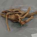 majoywoo Natural Large Driftwood for Aquarium Decor Reptile Decor, Assorted Spider Wood Branch 11-14" 2 Pcs, Fish Tank Decoration