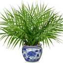 Hollyone Large Artificial Potted Plants Fake Palm Plants 16" Faux Green Plant Plastic Tropical Palm Tree in Blue and White Porcelain Ceramic Pots for Home Room Office House Indoor Decoration