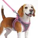 Eagloo Small Dog Harness and Leash Set, Step in Puppy Vest with Breathable Soft Mesh, Walking Reflective Pet Harness for Medium Small Dogs, Pink, M (Chest:16.0"-18.5")