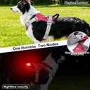 Taglory LED Dog Harness with AirTag Holder, No Pull Light Up Dog Vest for Night Walking, USB Rechargeable Pet Safety Harness with 2 Metal Clips, Adjustable Soft Vest for Small Dogs (Rose Pink, S) (Melon Red)