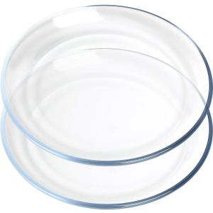 FOYO Basics Glass Plate Set, 10 inch Round Tempered Glass Dinner Plates, Glass Serving Dinnerware, Set of 2