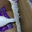 Swiffer PowerMop Multi-Surface Mop Kit for Floor Cleaning, Includes PowerMop, 2 Mopping Pad Refills, 1 Cleaning Solution with Fresh Scent and 2 Batteries (Purple and White)