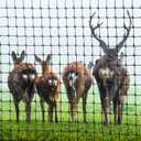 Woanger 7.5' x 165' Deer Fence Netting 55 gr/sq m Animal Fence Barrier Netting 0.87" Square Mesh Heavy Duty Deer Barrier for Shrubs Fruit Tree Poultry for Against Hawk Squirrel, Black