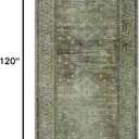 BEIMO Runner Rug for Hallway Kitchen, 2x10 Machine Washable Runners Rug for Entryway,Soft Modern Boho Throw Rugs, Low Pile Rug with Non Slip Backing, 2 Feet in length and 10 Feet in width, Light Green