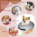 Inflatable Dog Cone Collar-Soft Protective Cone for Dogs After Surgery,Dog Donut Collar for Large Medium Small Dogs and Cats (Grey,Large) (Large(Neck:12"-18"))