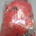 WILLBOND 36 Pieces Christmas Poinsettia Glitter Faux Flowers Christmas Artificial Flowers Tree Ornaments Topper Xmas Decorations(Red)