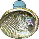 NessaStores 30 Abalone Shells 4 to 5 Inches | Beautiful All Natural Smudge Bowl - Perfect for Smudge Sticks, Incense Sticks and a Sage Smudge Kit. JC-011
