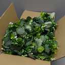 Waipfaru 4Pcs Eucalyptus Garland, 5.9FT Greenery Garland, Green Garland with Flowers, Artificial Faux Silver Dollar Eucalyptus Leaves Vines for Table Home Wedding Mantle Party Indoor Outdoor Decor