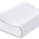 Sealy Contour Curve Pillow 20x15In
