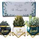 Housewarming Gifts: Best Home Essentials for New House - Farmhouse Living Room Decor | 3 Succulent Pots for Plant Lovers (One Size) (Home Sweet Home)