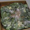 Pinkpum 20'' Eucalyptus Wreath for Front Door, Porch, Window - Green Decor for Home, Farmhouse - Spring, Summer, Fall, All Seasons (White)